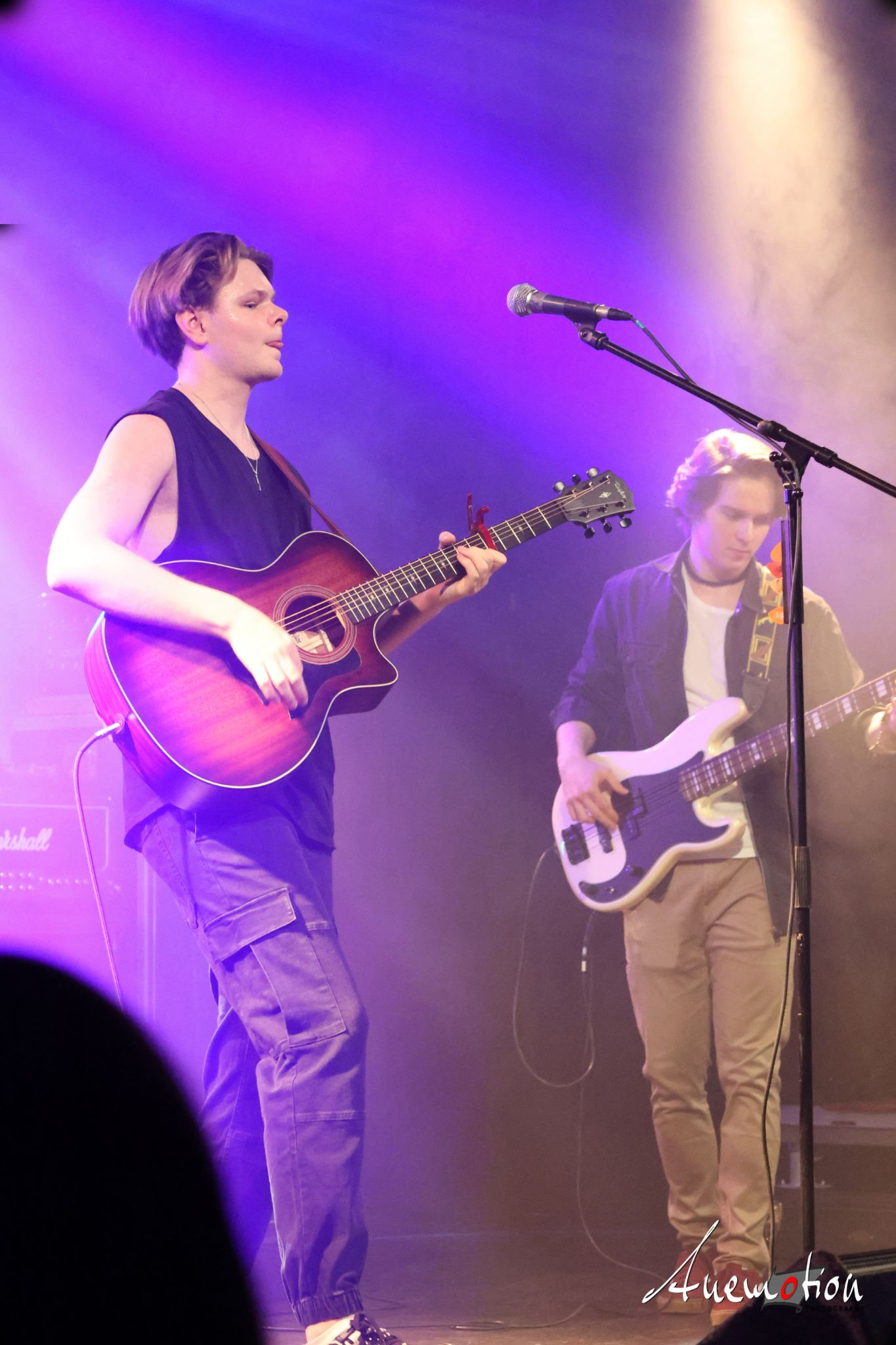 ElephantsFalling (43)